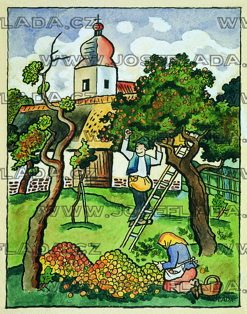 Česání jablek 1926